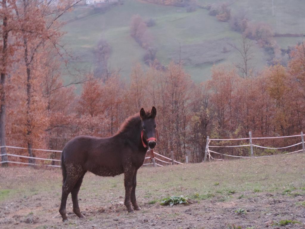 Вилла Societa Agricola Cacigolara Борго-Валь-ди-Таро Экстерьер фото