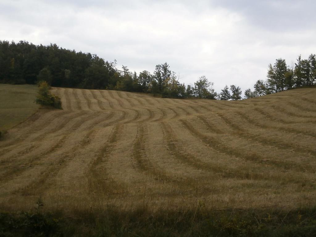 Вилла Societa Agricola Cacigolara Борго-Валь-ди-Таро Экстерьер фото