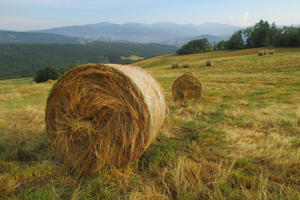 Вилла Societa Agricola Cacigolara Борго-Валь-ди-Таро Экстерьер фото