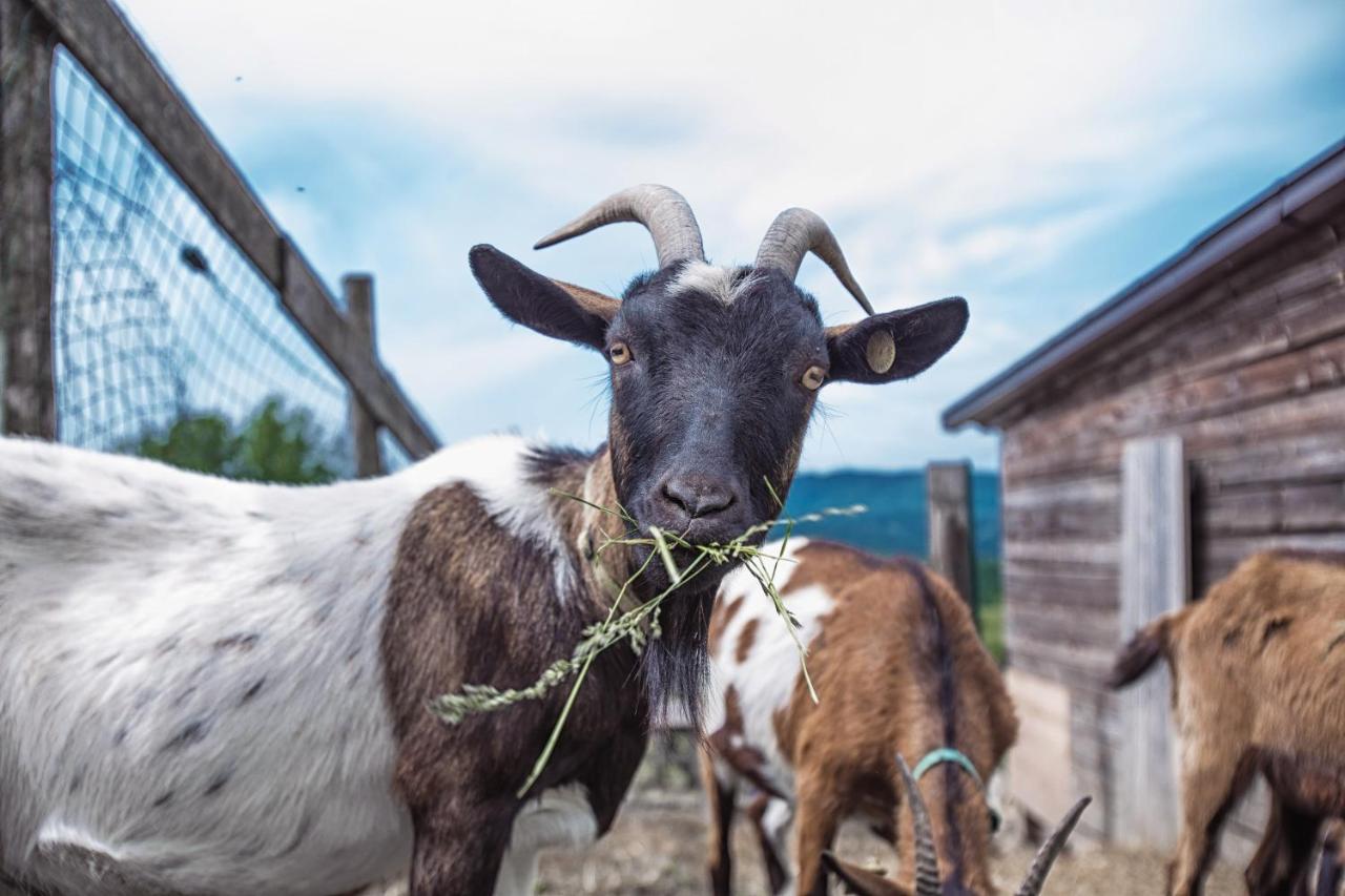 Вилла Societa Agricola Cacigolara Борго-Валь-ди-Таро Экстерьер фото